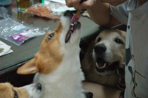 1380944334-3864599698