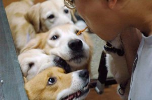 1380944335-2794255549