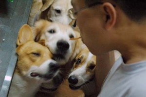 1380944335-3810023141