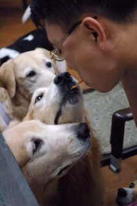 1380944336-2075173484