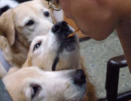 1380944336-2075173484