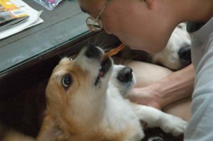 1380944336-592417136