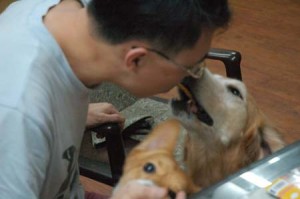 1380944337-1322588814