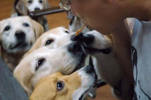 1380944338-1469932127