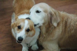 1380944360-3305041593