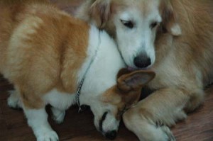 1380944361-1321440771