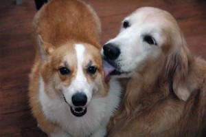 1380944361-2113064457