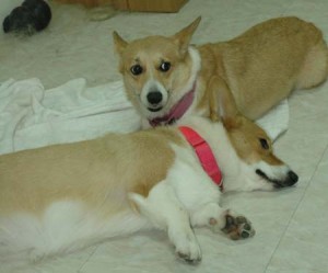 1380944361-2213031629