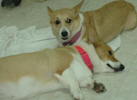 1380944361-2213031629