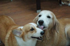 1380944362-118405096