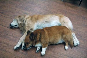 1380944362-163915924