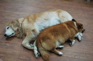 1380944363-2925067315