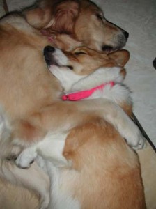 1380944363-4172296109