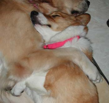 1380944363-4172296109