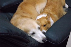 1380944364-143303251