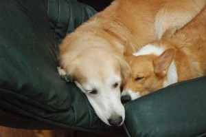 1380944364-2355051834