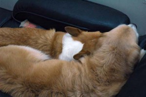 1380944364-3768149053