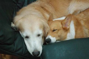 1380944365-823803020