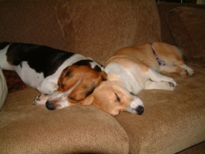 1380944367-3227549617