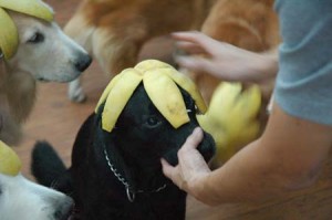 1380944368-3396477574