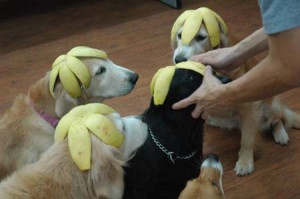 1380944368-4218319030