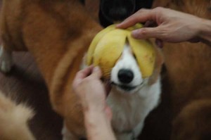 1380944369-2920385249