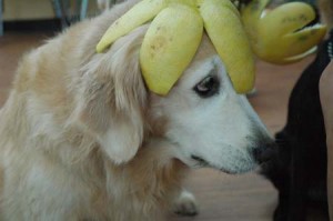 1380944369-3548826009