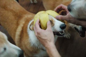 1380944370-1279328619