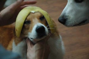 1380944370-2264685452