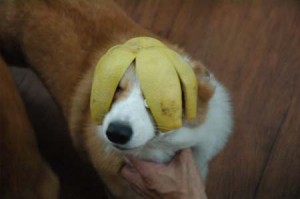 1380944370-3971313101