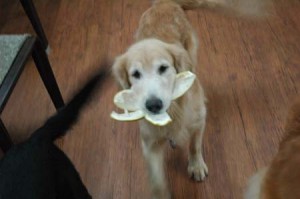 1380944371-3144425252