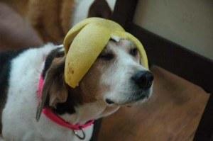 1380944371-3306581956