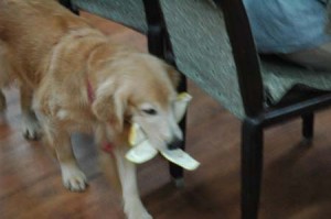 1380944372-3307061461