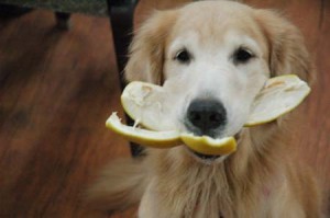 1380944372-3785829344