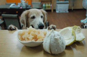 1380944372-3785901249