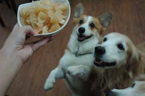 1380944373-1121811094