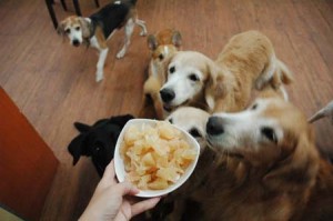 1380944373-737838157