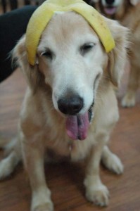 1380944374-3140200122