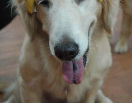 1380944374-3140200122