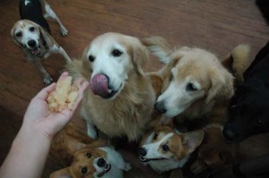 1380944374-4119117359