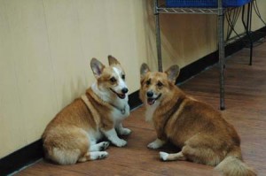 1380944375-2471932969