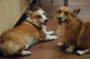 1380944377-3126886452