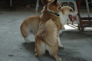 1380944377-3778135055