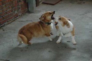 1380944377-4227084580