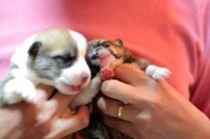 1380944378-1926569780