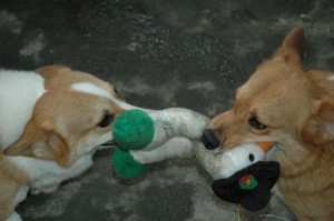 1380944378-1997805517