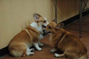 1380944378-2503463517