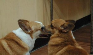 1380944379-170921770