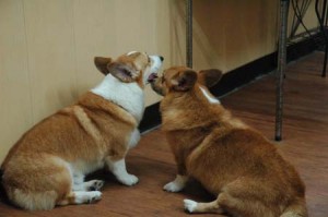 1380944379-3202102490