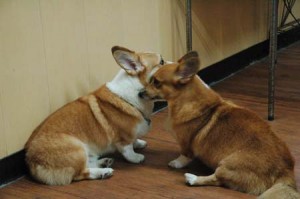 1380944379-4072108458